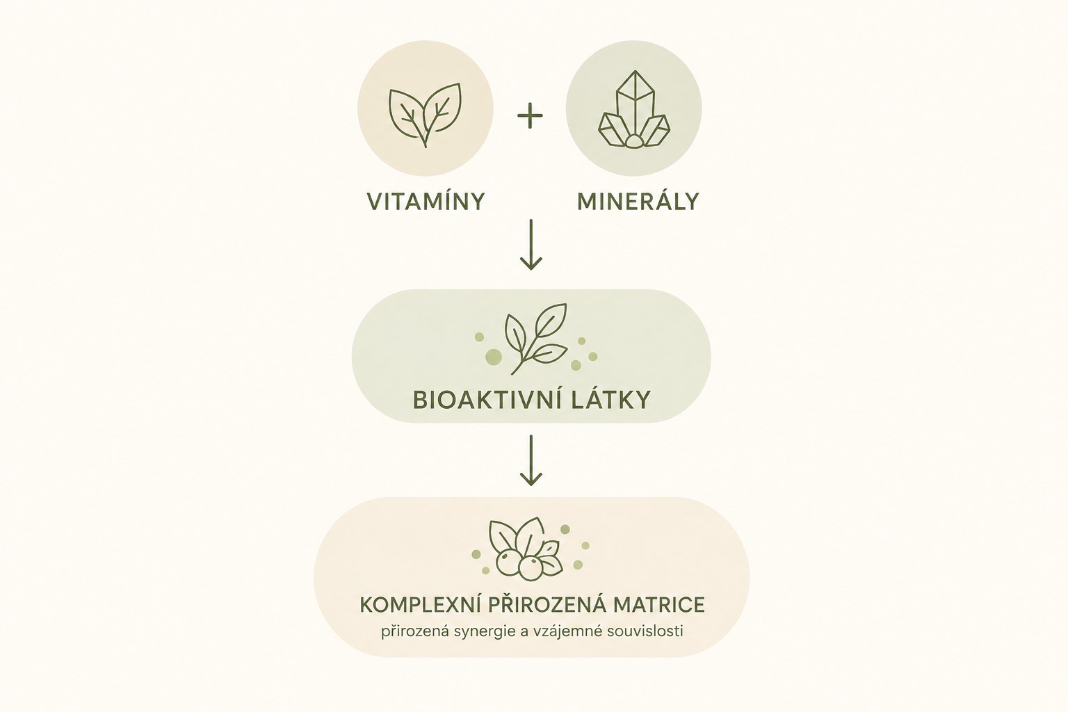 Infografika bioaktivní látky